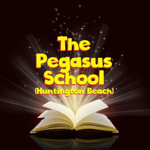 Read more about the article Pegasus